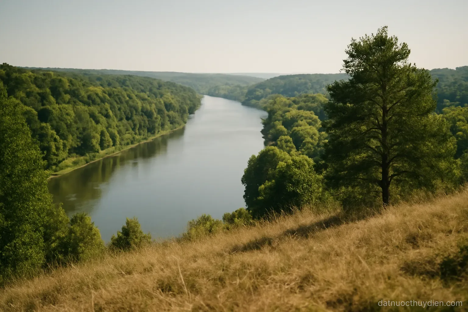 A wide river valley with forest on both banks seen from a hill in late summer, no readable text